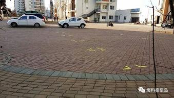 家园小区爆料视频最新版,惊人真相曝光!